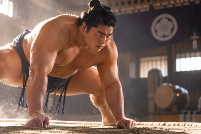 土俵で構える力士と差し込む光、舞う土埃